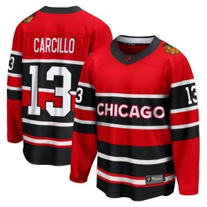 Daniel Carcillo Men's Fanatics Branded Chicago Blackhawks Breakaway Red Special Edition 2.0 Jersey